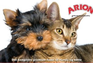 INFO OM Arion Hundefoder